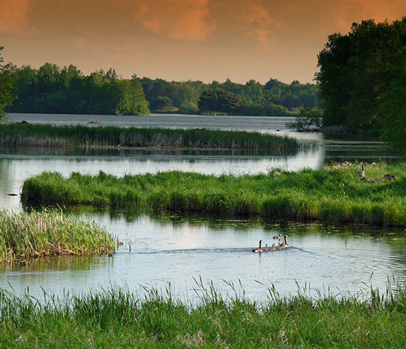 北京都潤生態(tài)環(huán)境工程有限公司-濕地公園建設(shè)-金寶灘濕地公園建設(shè)