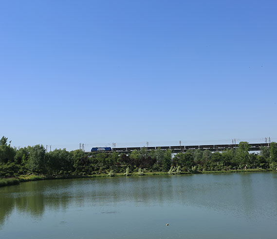 北京都潤生態(tài)環(huán)境工程有限公司-沿河風(fēng)光帶-湖南道水河沿河風(fēng)光帶