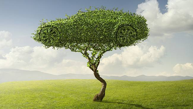 生態(tài)文明寫入憲法