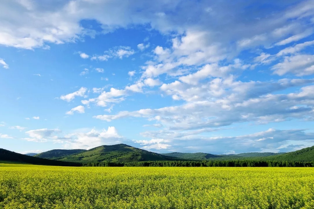 生態(tài)環(huán)境質(zhì)量持續(xù)改善 美麗中國(guó)建設(shè)日新月異&mdash;&mdash;黨的十八大以來我國(guó)生態(tài)文明建設(shè)成就綜述