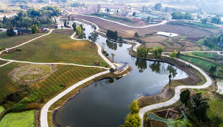 解決鄉(xiāng)村黑臭水體突出環(huán)境問(wèn)題