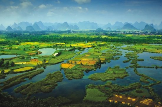 濕地科普 | 濕地的強(qiáng)大功能