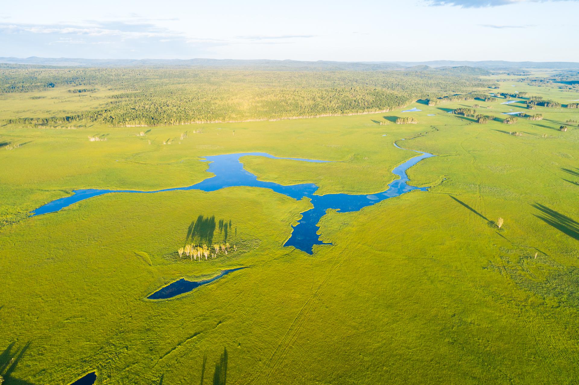 案例賞析丨創(chuàng)意濕地