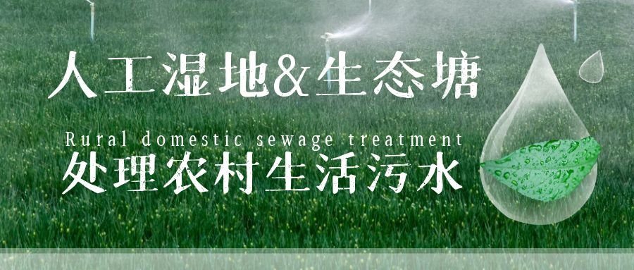 干貨 | 人工濕地與生態(tài)塘處理農(nóng)村生活污水