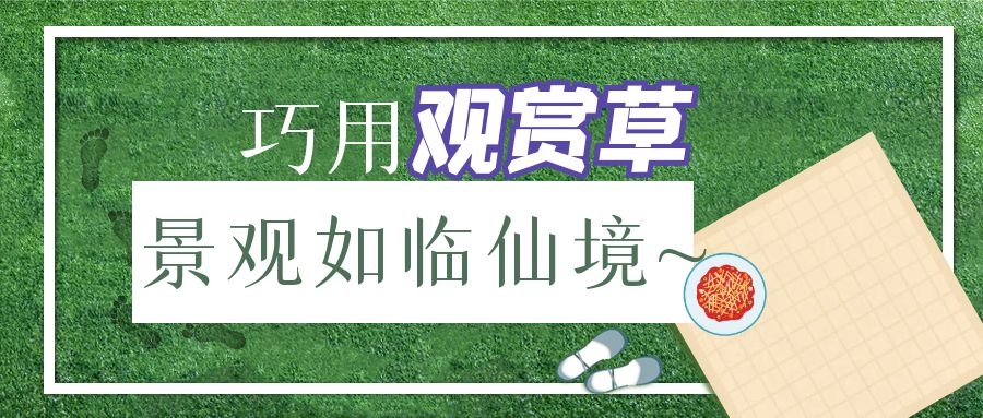 巧用觀賞草，景觀如臨仙境~