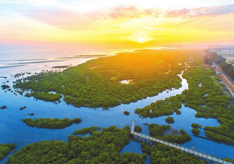 都潤(rùn)科普 | 濕地退化的危害