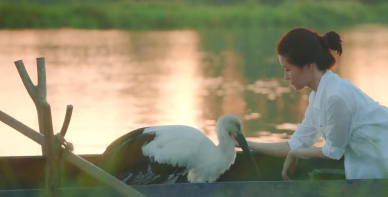 佳片推薦 | 超美！生態(tài)環(huán)保電影《等兒的濕地》
