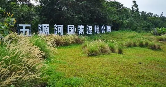 【案例賞析】?？谖逶春訃?guó)家濕地公園